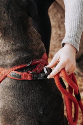 Show full view: HOOZA Quick Clip Rope Dog Leash, Red, Medium: 5-ft long, 9/16-in wide slide 4 of 6