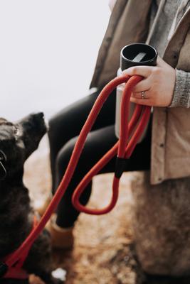 Show full view: HOOZA Quick Clip Rope Dog Leash, Red, Medium: 5-ft long, 9/16-in wide slide 3 of 6