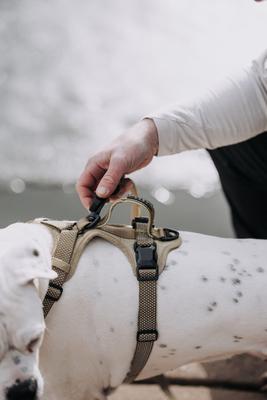 Show full view: HOOZA Quick Clip Control Dog Harness, Almond, Large: 37 to 36-in chest slide 2 of 5