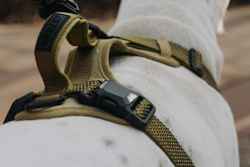 Show full view: HOOZA Quick Clip Control Dog Harness, Almond, Large: 37 to 36-in chest slide 3 of 5