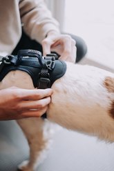 HOOZA Quick Clip Control Dog Harness, Blue, Medium: 20 to 27-in chest slide 2 of 3