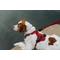 Show in main carousel: HOOZA Quick Clip Dog Leash, Red, Medium: 6-ft long, 1-in wide slide 3 of 5