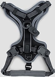 HOOZA Quick Clip Control Dog Harness, Black, Small: 15 to 20-in chest