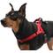 Show in main carousel: HOOZA Quick Clip One Click Dog Harness, Red, Small: 15 to 20-in chest slide 2 of 4