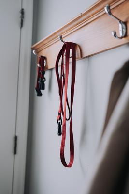 Show full view: HOOZA Quick Clip Dog Leash, Red, Small: 6-ft long, 5/8-in wide slide 3 of 5