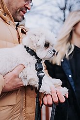 HOOZA Quick Clip Dog Collar, Black, Small: 9 to 14-in neck, 5/8-in wide slide 2 of 2