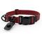 Show in main carousel: HOOZA Quick Clip Dog Collar, Red, Small: 9 to 14-in neck, 5/8-in wide slide 1 of 3