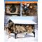 Show in main carousel: Clawsable Waterproof Polyester Outdoor Cat Shelter with Heating Pad, Desert Camo, Small slide 4 of 6