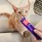 Show in main carousel: Ark Naturals Kiss Me-Ow Salmon Lickable Dental Cat Treats, 0.5-oz tube, case of 4 slide 6 of 6