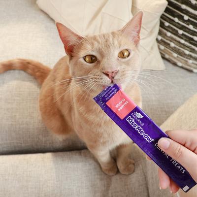 Show full view: Ark Naturals Kiss Me-Ow Salmon Lickable Dental Cat Treats, 0.5-oz tube, case of 4 slide 6 of 6