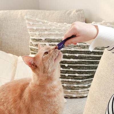 Show full view: Ark Naturals Kiss Me-Ow Tuna Lickable Dental Cat Treats, 0.5-oz tube, case of 4 slide 6 of 6