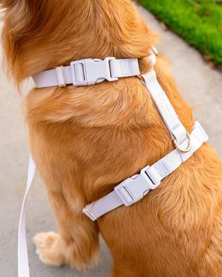Show full view: Sunny Tails Cloud Lite Waterproof Dog Harness, Lavender Haze, Medium, No-pull, lightweight, waterproof dog harness slide 2 of 8