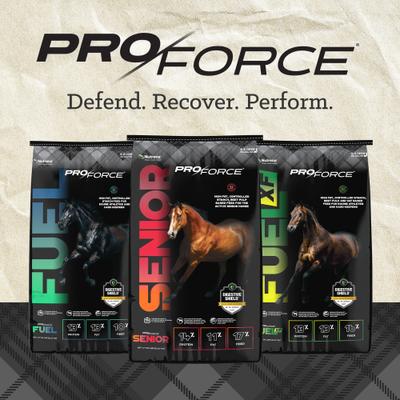 Show full view: Nutrena ProForce Senior Horse Feed, 50-lb bag slide 9 of 11
