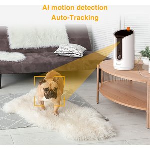 Arenti 360° View Treat Dispensing Dog Camera