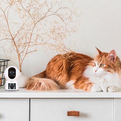 Show full view: Arenti P3TT 3MP UHD Dual-Lens Indoor Pan-Tilt Dog Camera slide 6 of 11