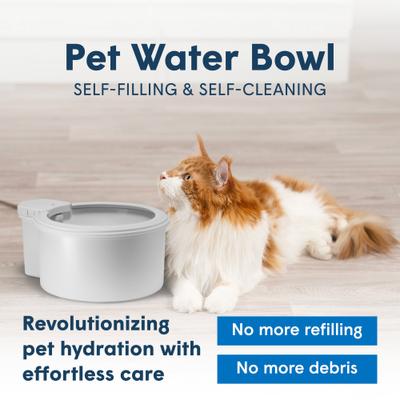 Show full view: Always Full Dog Water Bowl & Wall Unit, Matte Gray, 7-in slide 3 of 8