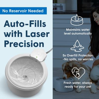 Show full view: Always Full Dog Water Bowl & Wall Unit, Matte Gray, 7-in slide 4 of 8