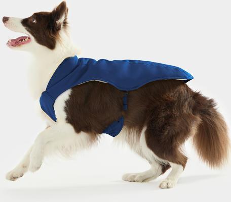 Show full view: ororo Heated Padded Dog Vest, Blue, Small slide 6 of 10