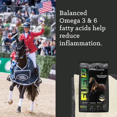 Show full view: Nutrena ProForce Fuel XF Horse Feed, 50-lb bag slide 7 of 10