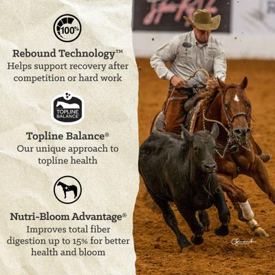 Show full view: Nutrena ProForce Fuel XF Horse Feed, 50-lb bag slide 2 of 10