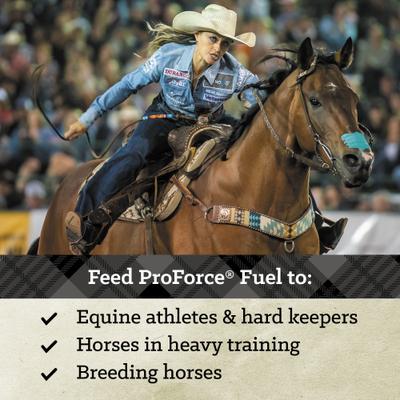 Show full view: Nutrena ProForce Fuel Horse Feed, 50-lb bag slide 7 of 11