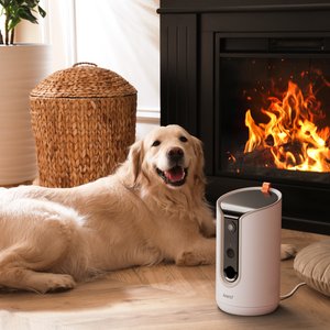 Arenti 360° View Treat Dispensing Dog Camera