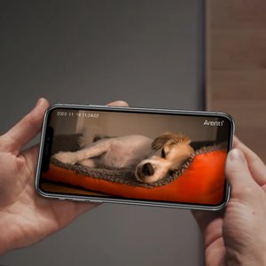 Arenti 360° View Treat Dispensing Dog Camera