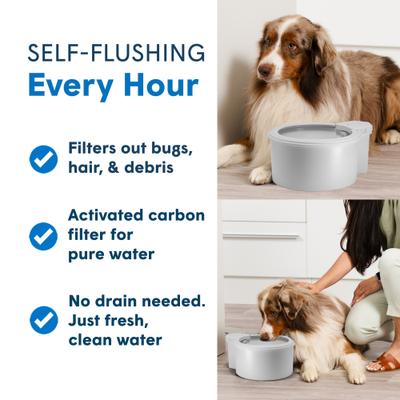 Show full view: Always Full Dog Water Bowl & Bottle Pump, Matte Gray, 9-in slide 6 of 9