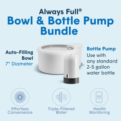 Show full view: Always Full Dog Water Bowl & Bottle Pump, Matte Gray, 7-in slide 3 of 9
