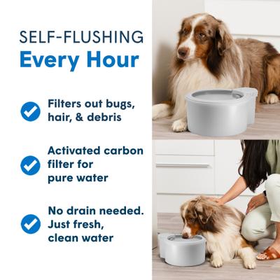 Show full view: Always Full Dog Water Bowl & Wall Unit, Matte Gray, 7-in slide 5 of 8