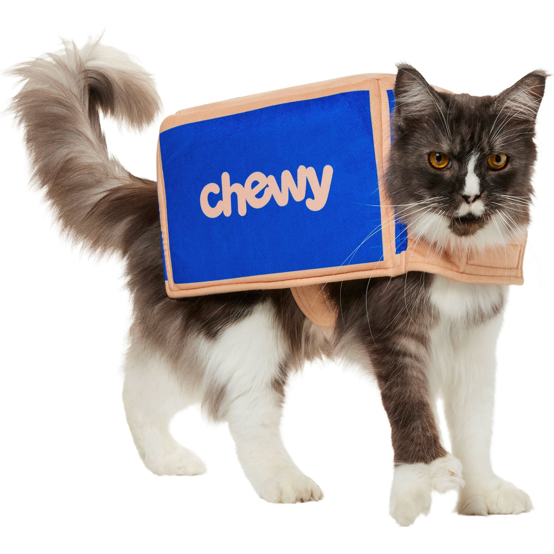 Frisco Chewy Branded Box Dog & Cat Costume, Small
