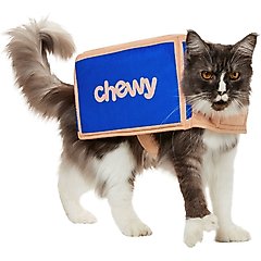Frisco Halloween Chewy Box Cat Costume, Small