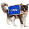 Show in main carousel: Frisco Chewy Branded Box Dog & Cat Costume, Small slide 1 of 11