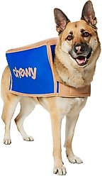 Frisco Chewy Branded Box Dog & Cat Costume, XX-Large