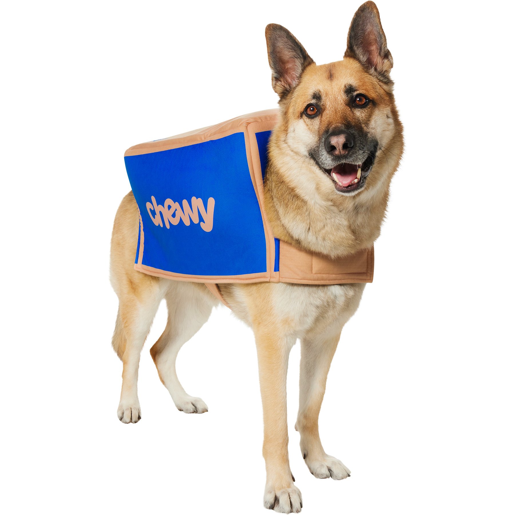 Frisco Chewy Branded Box Dog & Cat Costume, XX-Large