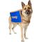 Show in main carousel: Frisco Chewy Branded Box Dog & Cat Costume, XX-Large slide 1 of 10