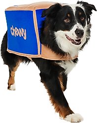 Frisco Chewy Branded Box Dog & Cat Costume, X-Large