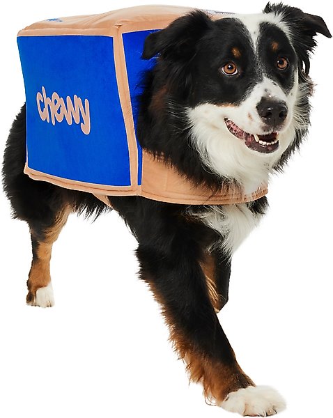 Frisco Chewy Branded Box Dog & Cat Costume