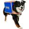 Show in main carousel: Frisco Chewy Branded Box Dog & Cat Costume, X-Large slide 1 of 10