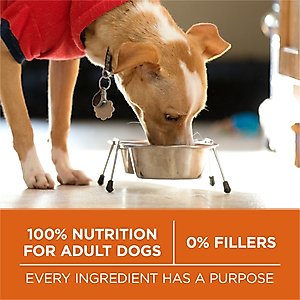 Purina ONE +Plus Adult High-Protein Healthy Weight Formula Turkey Formula Dry Dog Food, 40-lb bag