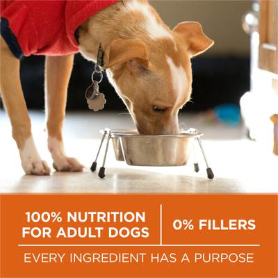 Show full view: Purina ONE +Plus Adult High-Protein Healthy Weight Formula Turkey Formula Dry Dog Food, 31.1-lb bag slide 8 of 11