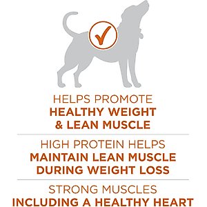 Purina ONE +Plus Adult High-Protein Healthy Weight Formula Turkey Formula Dry Dog Food, 40-lb bag