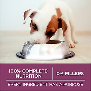 Purina ONE +Plus Natural High Protein Healthy Puppy Chicken Formula Dry Puppy Food, 16.5-lb bag