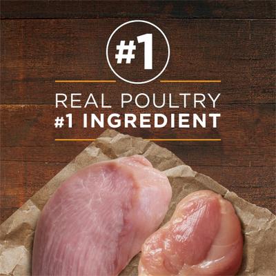 Show full view: Purina ONE SmartBlend True Instinct Classic Ground Grain-Free Variety Pack Canned Dog Food, 13-oz can, case of 12 slide 4 of 12