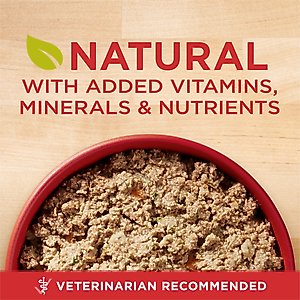 Purina ONE +Plus Classic Ground Healthy Puppy Lamb & Long Grain Rice Entree Canned Dog Food, 13-oz, case of 12