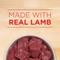 Show in main carousel: Purina ONE +Plus Classic Ground Healthy Puppy Lamb & Long Grain Rice Entree Canned Dog Food, 13-oz, case of 12 slide 5 of 12