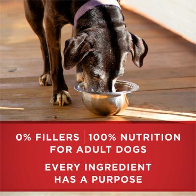 Show full view: Purina ONE +Plus Adult Classic Ground Vibrant Maturity Senior Adult 7+ Turkey & Barley Entree Canned Dog Food, 13-oz, case of 12 slide 8 of 12