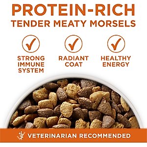 Purina ONE +Plus Adult High-Protein Healthy Weight Formula Turkey Formula Dry Dog Food, 40-lb bag