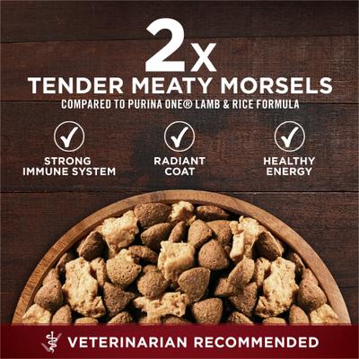 Purina ONE Natural High Protein True Instinct with Real Beef & Salmon Dry Dog Food