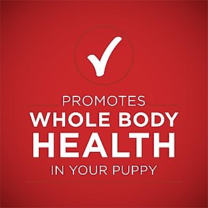 Purina ONE +Plus Classic Ground Healthy Puppy Lamb & Long Grain Rice Entree Canned Dog Food, 13-oz, case of 12